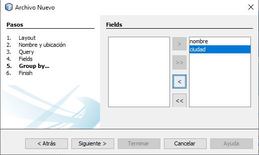Captura de pantalla de los campos que podemos seleccionar para que aparezcan en el informe