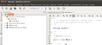 Captura de pantalla de un trozo de la apariencia de NetBeans, versión 6,9,1. 