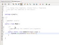 Captura de pantalla de un trozo de la apariencia de NetBeans, versión 6,9,1. 