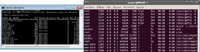 Terminal Símbolo del Sistema en Windows y terminal de comandos en GNU/Linux.