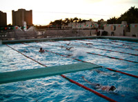 Imagen de una piscina en la que hay varios nadadores nadando, en algunos casos, compartiendo calle.