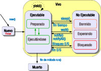 Esquema de los estados de un hilo: nuevo, ejecutable (preparado, ejecutándose), no ejecutable y muerto, detallando en el caso “no ejecutable” los estados dormido, esperando y bloqueado. Se muestra también los métodos que permiten pasar de un estado a otro: new(), start(), sleep(), wait(),notify(), notifyAll(). También se muestra el método yield(), la etiqueta “vivo” (estadso ejecutable, no ejecutable), y la etiqueta “fin del método run()”, para indicar que así se pasa al estado muerto.