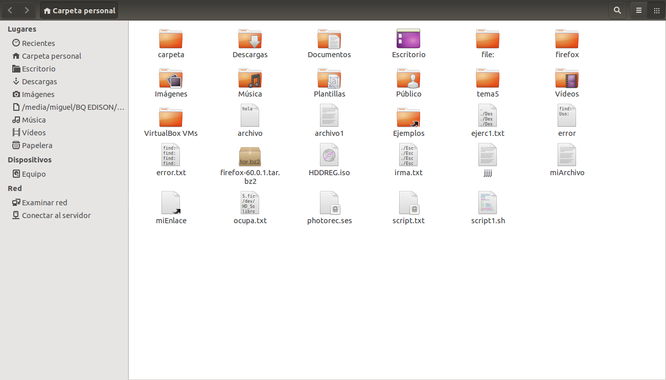 Archivos y directorios en Linux. Ilustración con los archivos y directorios de una carpeta personal de Linux.