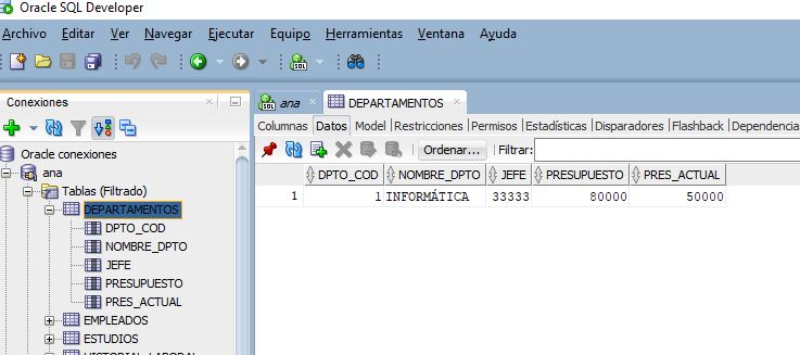 Captura de pantalla que muestra las filas de una tabla en SQLDeveloper pulsando la pestaña Datos