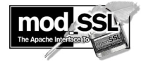 Ilustración en la quie se ven representadas los caracteres mod_SSL como sigue:  letras mod en blanco sobre fondo negro y letras SSL en negro sobre fondo blanco. El guión bajo que separa mod y SSL aparece partido por la mitad con color blanco en la zona de mod y con color negro en la zona de SSL. Debajo de los caracteres SSL tambíén aparecen una pluma  color blanca y un candado etiquetado con la palabra OpenSSL. A la izquierda del candado y debajo de mod_SSL aparece el texto The Apache Interface To, de tal forma que junto con el candado se puede leer: The Apache Interface To OpenSSL 