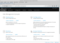 Ilsutración con una captura de pantalla de la consola administración Wildfly.