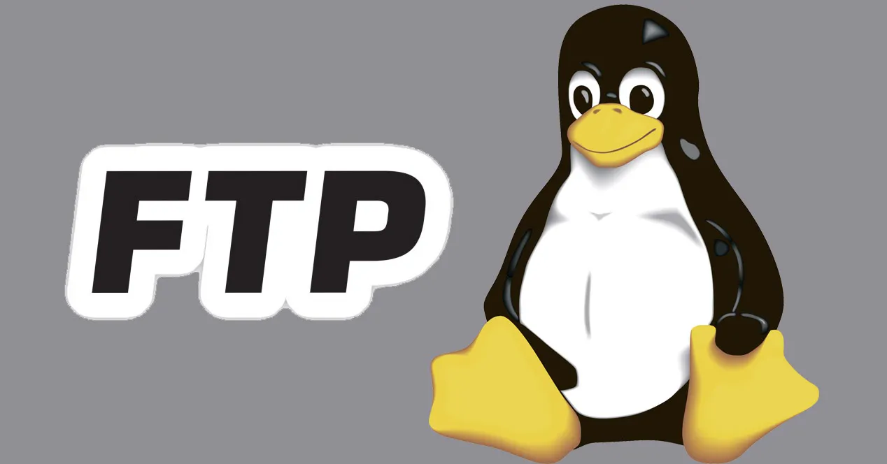 Ilustración en la que se ven las letras FTP a la iquierda y el pingüino de Linux a la derecha, sobre un fondo gris.