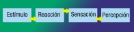 Ilustración de un diagrama de cajas con un fondo de color azul claro y un texto de color azul oscuro. La primera caja contiene la palabra Estímulo, la segunda caja contiene la palabra Reacción, la tercera caja contiene la palabra Sensación y la cuarta caja contiene la palabra Percepción. Las cuatro cajas están unidas mediante flechas de color amarillo que indican el orden de lectura desde la primera caja a la cuarta. Representa los pasos por los que pasan las personas desde que reciben un estímulo a través de los sentidos hasta  que son conscientes del mismo mediante la percepción.