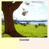 Ilustración en la que se puede ver un paisaje acompañado del texto "Gravedad". En el paisaje se puede ver en la zona de la izquierda, un tronco de árbol en un primer plano ocupando todo el alto de la imagen. La mitad superior de la imagen es el cielo que se ve detrás del árbol. La franja intermedia es un lago y, la mitad inferior es un campo en el que hay dos bancos. En el medio de la imagen y en su mitad superior se ven varias hojas de árbol que está cayendo hacia el suelo.