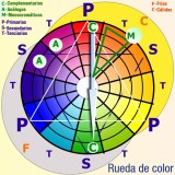 Ilustración en la que se muestra una rueda de color que es un conjunto de círculos concéntricos divididos en 12 porciones cada una de las cuales contiene todas las tonalidades de un color. En estas 12 porciones se han identificado las que pertenecen a los colores primarios, secundarios y terciarios mediante las letras P, S y T escritas en mayúscula y con color azul, las que pertenecen a los colores complementarios, análogos y monocromáticos con las letras C, A y M en mayúscula con color verde sobre un círculo azul claro y, las que pertenecen a los colores fríos y cálidos mediante las letras F y C en mayúscula en color naranja.