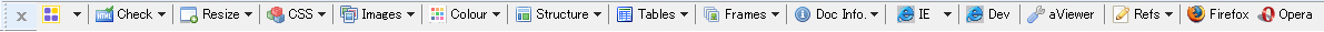 Ilustración con la captura de pantalla de Web Accessibility Toolbar