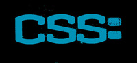 CSS:. Ilustración en la que aparecen las siglas CSS seguidas del símbolo de dos puntos.