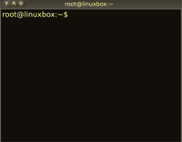 Terminal Linux. Ilustración de una ventana de terminal de Linux con línea de comandos.