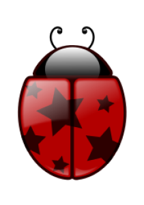 Debug Imagen de una amriquita roja