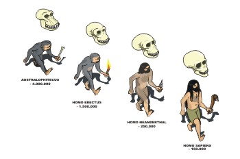 Evolución humana Ilustración que muestra 4 hombres prehistóricos evolucionando desde el Australophitecus hasta el Homo Sapiens