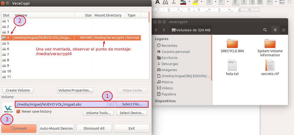 Montar contenedor en GNU-Linux. Ilustración Montar contenedor en GNU-Linux.