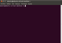 Terminal o shell del sistema.
