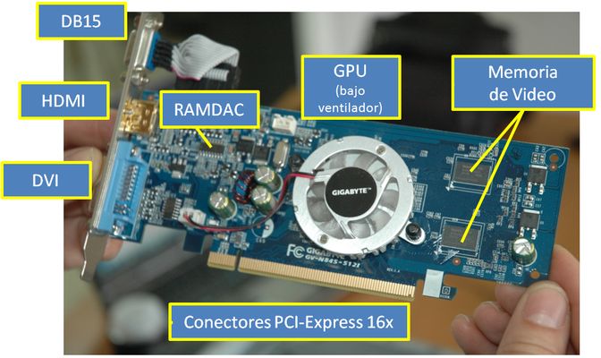 Partes de la tarjeta gráfica