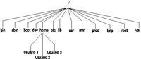 En este esquema se ve como cuando se instala el sistema operativo Linux se crea un estructura de ficheros que alojan al sistema y a todas las librerías y programas que se instalan con él.