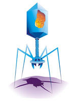 Virus informático. En la imagen se ve algo parecido a un robot tipo araña en cima de una superficie curva.