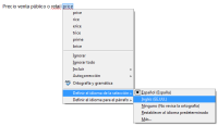 Captura de pantalla del momento en que se cambia el idioma de corrección para un término en inglés.