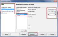 Captura de pantalla del asistente en el momento en que se ajusta el tipo y tamaño de los campos. 