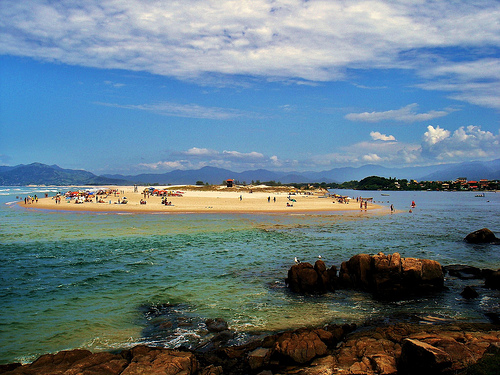 Imagen que muestra una playa paradisiaca.
