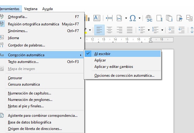 Imagen que muestra la opción Corrección automática.