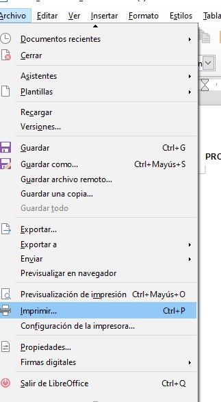 Imagen que muestra la opción imprimir.