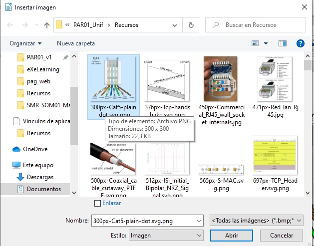 Imagen que muestra el cuadro de diálogo para insertar una imagen.