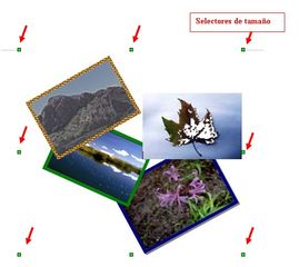 Imagen que muestra los selectores de imagen.