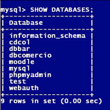 Modo comando Ilustración que muestra el acceso a un gestor de base de datos en modo comando.