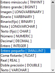 Imagen que muestra el despegable con los tipos de datos que podemos seleccionar al definir un campo.