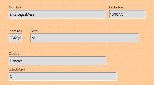 Imagen que muestra el formulario creado.