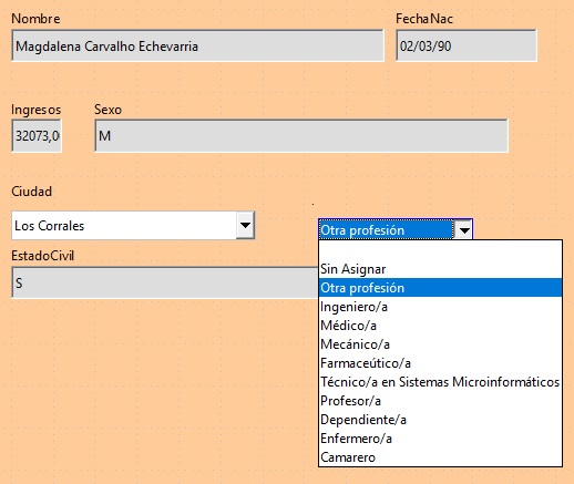 Imagen que muestra el aspecto final del formulario.