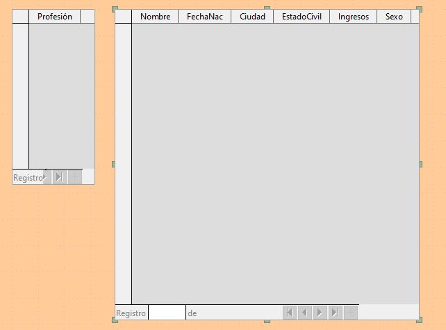 Imagen que muestra el diseño del formulario.
