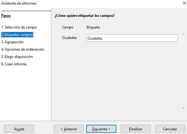 Imagen que muestra la opción Etiquetar campos del asistente creación de informe.