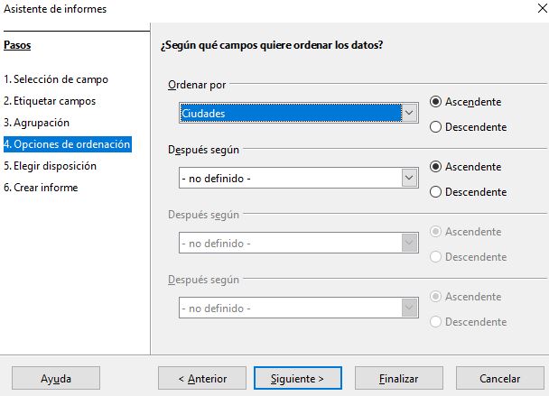 Imagen que muestra la selección de campos que podemos elegir para ordenar los datos del informe.