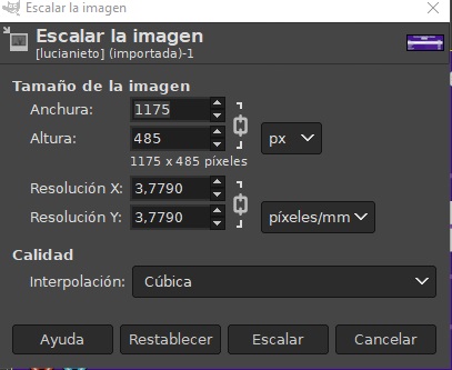 Imagen que muestra las opciones de escalar.