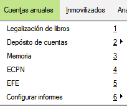 Imagen que nos presenta el programa de contabilidad al solicitar el balance.