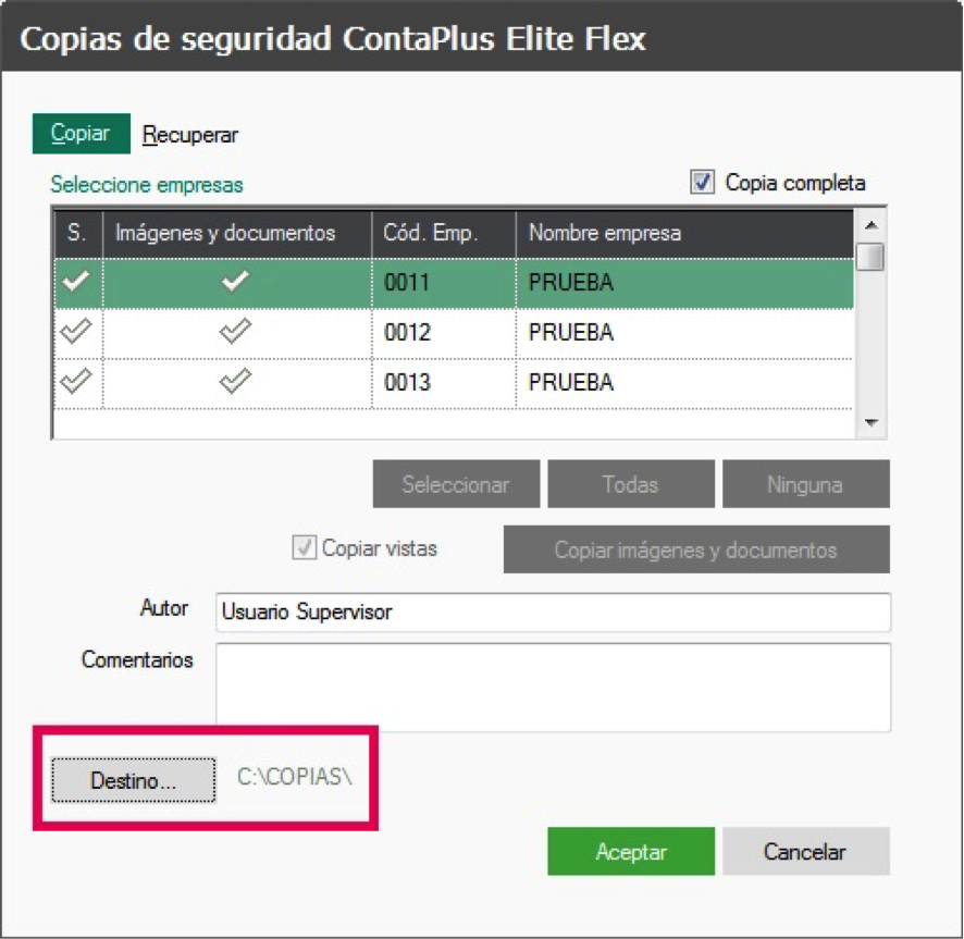 copiadeseguridad