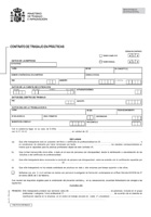 Modelo oficial del contrato en prácticas