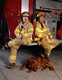 Imagen de dos bomberos sentados en su puesto de trabajo y un perro dormitando  a sus pies