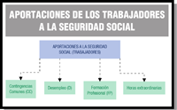La aportación de los trabajadores a la Seguridad Social proviene de la cotización por: contingencias comunes, desempleo, formación profesional y, en su caso, las horas extraordinarias.