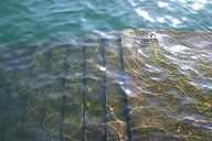 Escaleras cubiertas de agua.