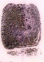 Huella dactilar. huella dactilar en DNI.