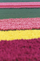 Plantación de flores a modo de capas.