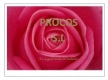 En la fotografía se aprecian los pétalos de una rosa en un plano corto.