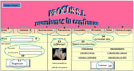 La imagen muestra el análisis de los elementos que componen la tienda virtual de PROCOS SL.