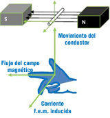 Regla de la mano derecha para determinar el sentido del campo magnético.